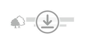 SUBIR DISEÑO COMPLETO