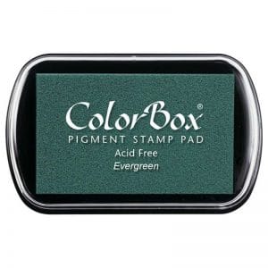 Tampon estándar Colorbox evergreen15023