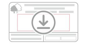 SUBIR DISEÑO COMPLETO